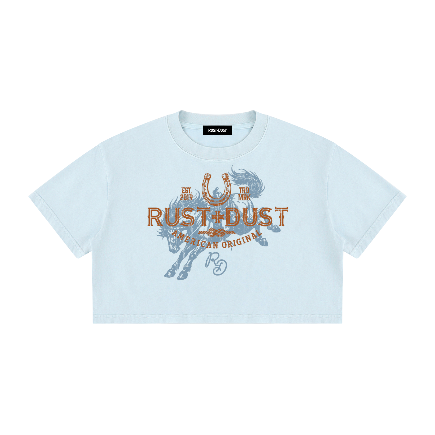 LUCKY LOU 306 Mineral Wash Crop T-Shirt