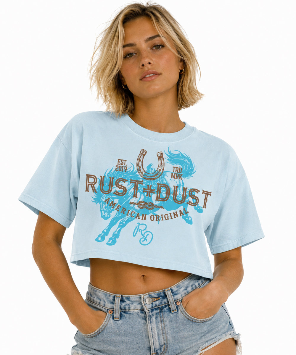 LUCKY LOU 306 Mineral Wash Crop T-Shirt
